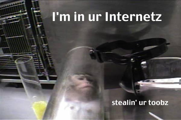 Monkey tube
